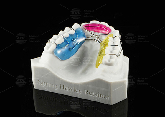 ซื้อ ปรับปรุงสปริง Hawley จับยึด จับยึดตําแหน่งฟันถอนได้ การผลิตออนไลน์